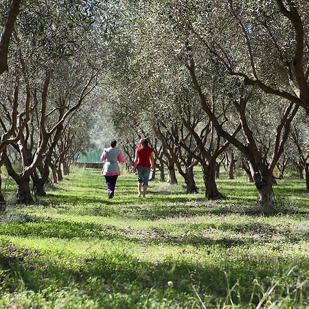 Agriturismo A'Sena-Runcatini Ciminà Zewnętrze zdjęcie