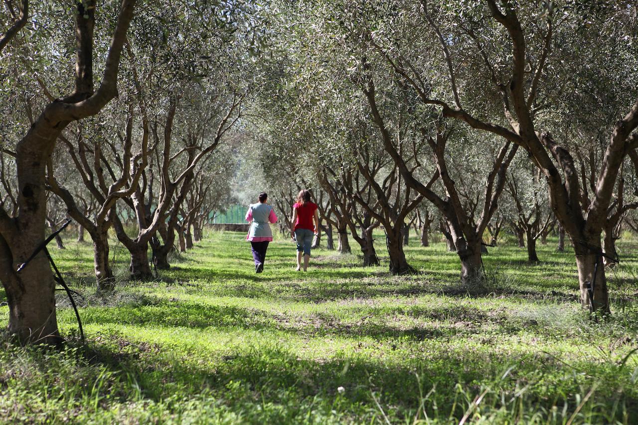 Agriturismo A'Sena-Runcatini Ciminà Zewnętrze zdjęcie